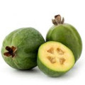 میوه فیجوآ Feijoa Fruit